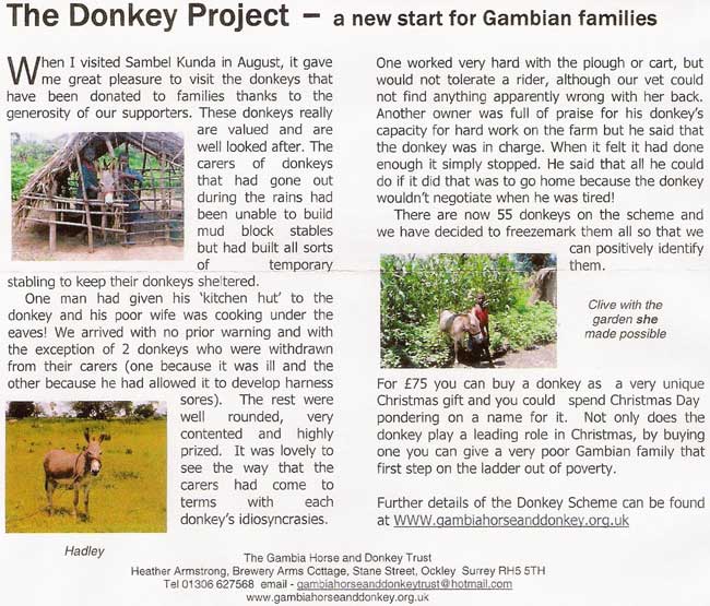 Gambia Horses and Donkeys